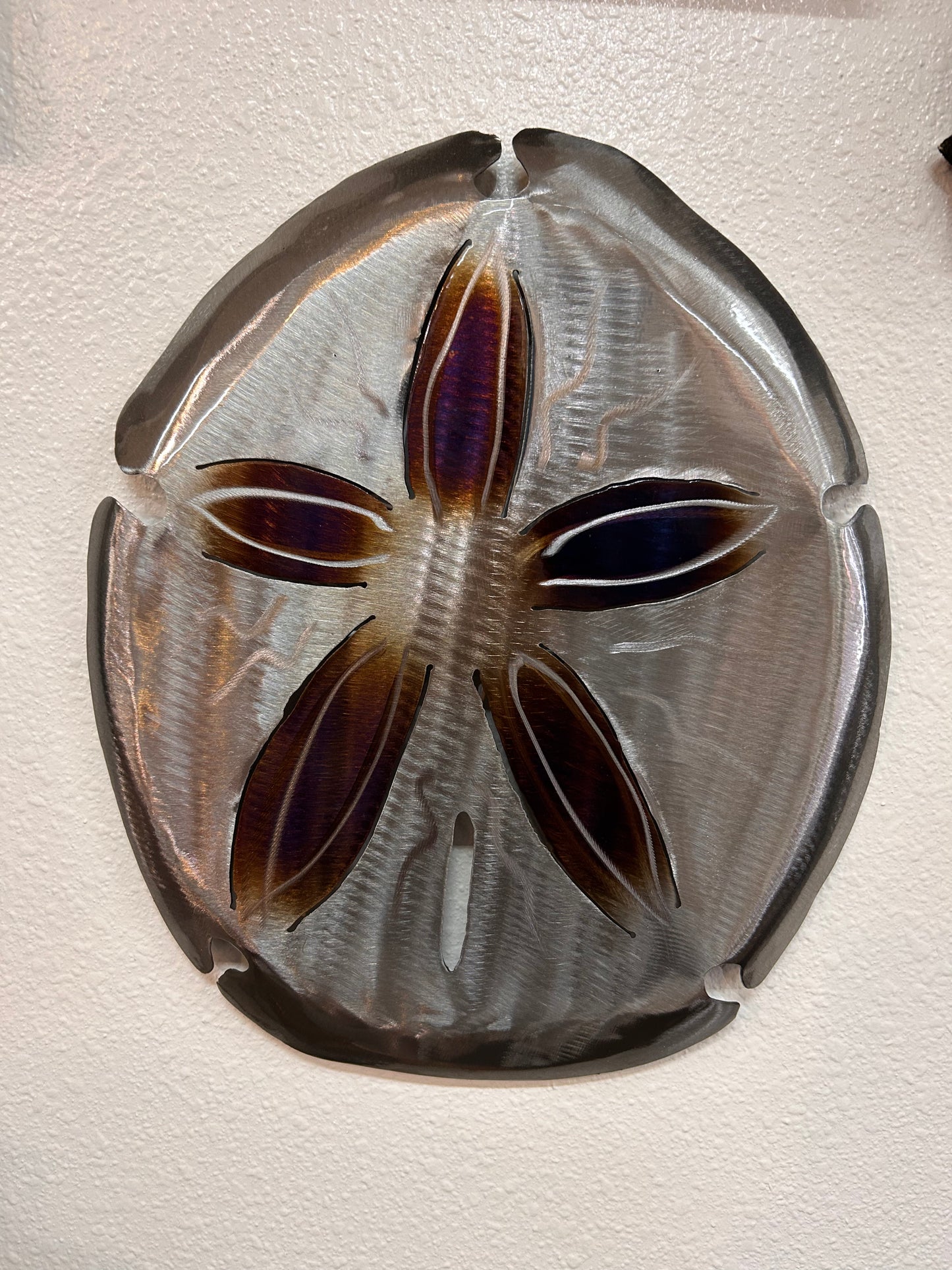 Stainless steel powder coated sand dollar- size medium