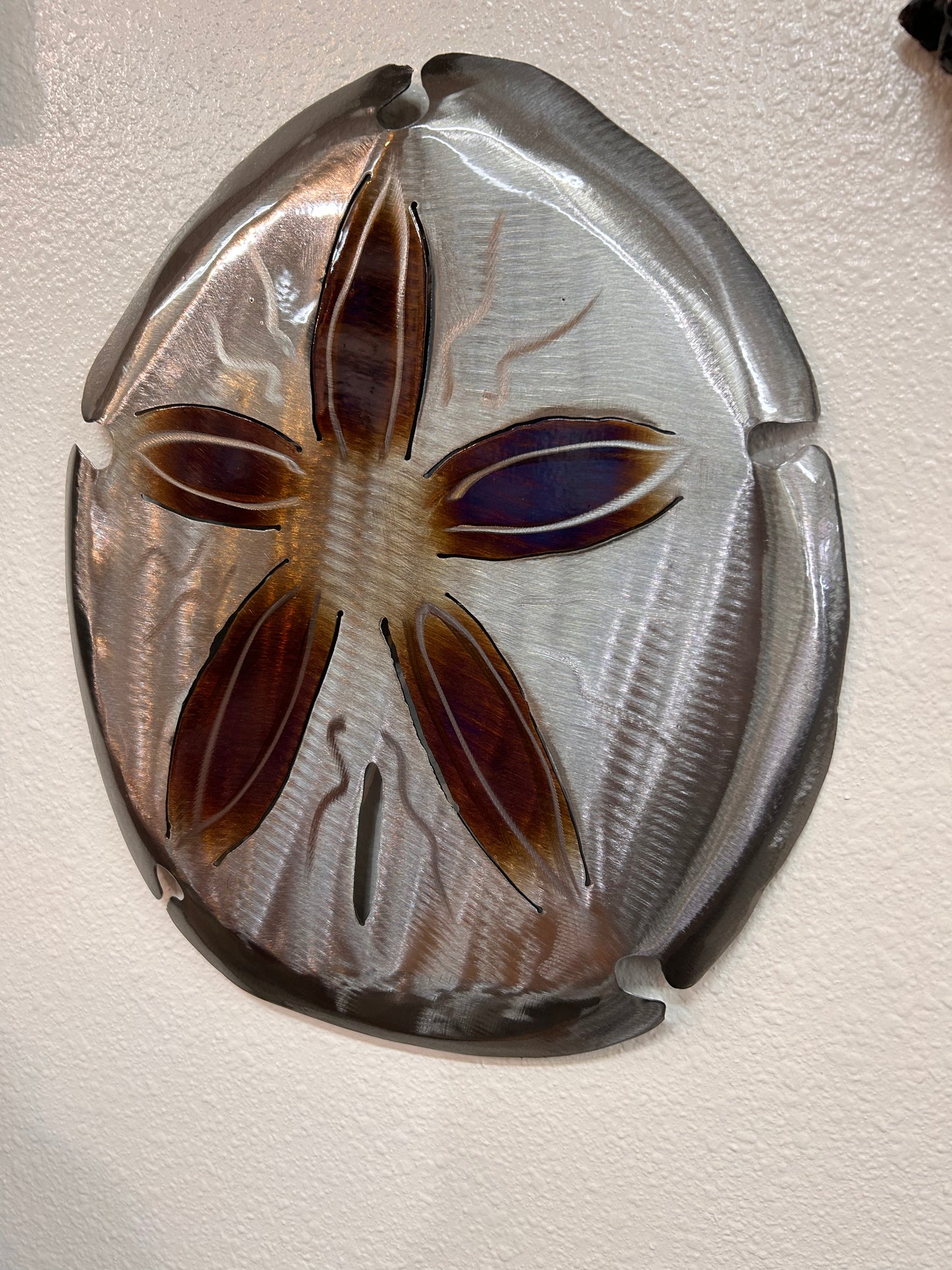 Stainless steel powder coated sand dollar- size medium