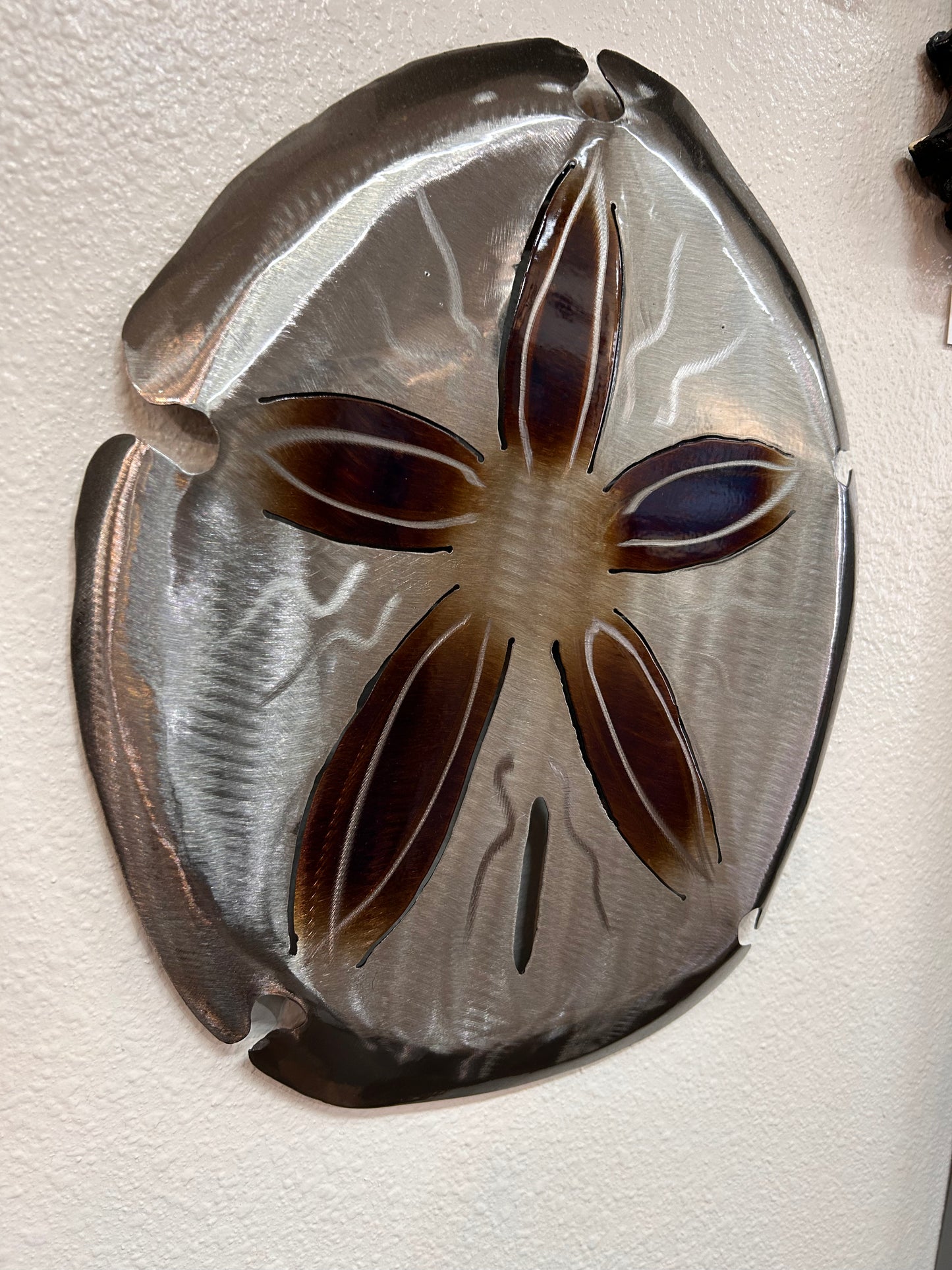 Stainless steel powder coated sand dollar- size medium